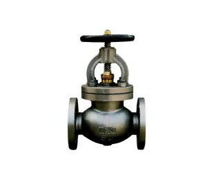 cast steel globe valve