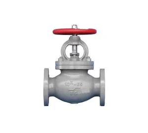 SDNR-Globe-Valve-1 SDNR Globe Valve